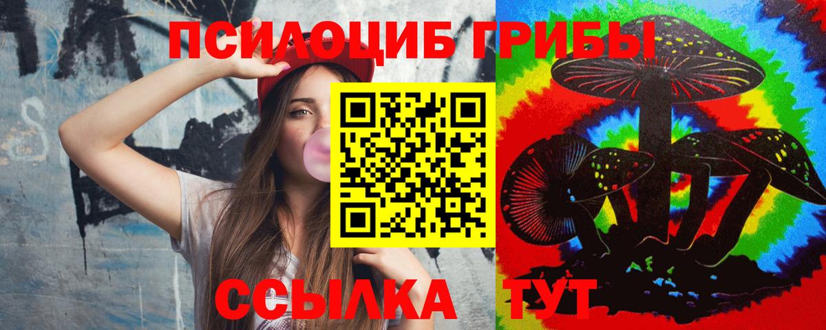 Псилоцибиновые грибы Cubensis Энгельс